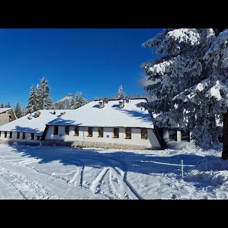 Winter Forest Vlasic Apart-hotel Sisava