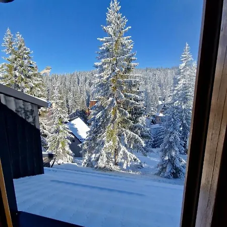 Winter Forest Vlasic Apart-hotel *